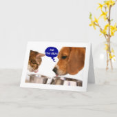 **16. GEBURTSTAG** GOSSIPING HUNDE!! KARTE (Gelbe Blume)