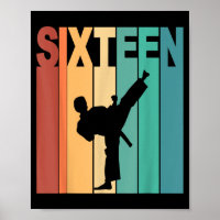 16. Geburtstag Karate Taekwondo Thema 16 Jahre alt