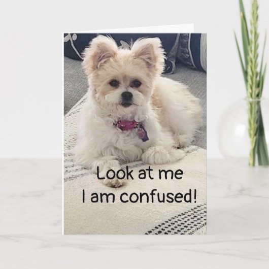 **16. GEBURTSTAG** SO SEHR KONFUSIERT! Karte (Vorderseite)