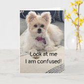 **16. GEBURTSTAG** SO SEHR KONFUSIERT! Karte (Gelbe Blume)