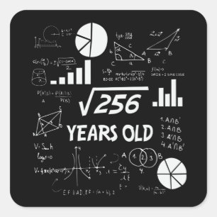 16. Geburtstag Square Root Mathe 16 Jahre alt Tag Quadratischer Aufkleber