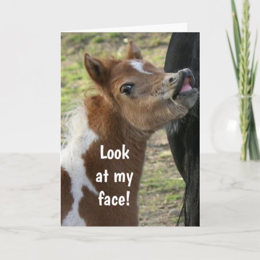 **16. GEBURTSTAG** ÜBERLAUFENE PONY-Karte Karte (Vorderseite)