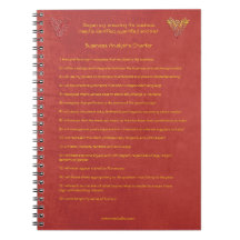 16 goldene Regeln der Geschäfts-Analytiker-Charter