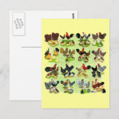 16 Huhn-Familien Postkarte (Vorne/Hinten)