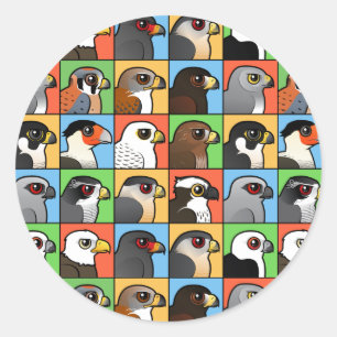 16 Nordamerikanische Raptor-Profile (gekachelt) Runder Aufkleber