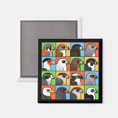 16 Nordamerikanische Raptor-Profile Magnet (Vorderseite/Rückseite)