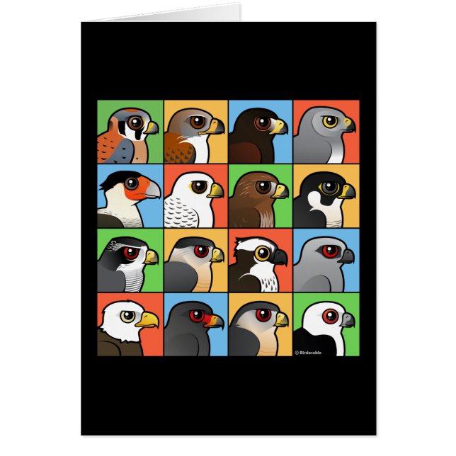 16 nordamerikanische Raubvogel-Profile (Vorne)