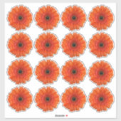 16 Orange Gerbera Daisy Blume Kiss-Cut Stickers Aufkleber (Blatt)