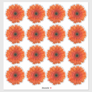 16 Orange Gerbera Daisy Blume Kiss-Cut Stickers Aufkleber