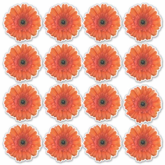 16 Orange Gerbera Daisy Blume Kiss-Cut Stickers Aufkleber (Vorderseite)