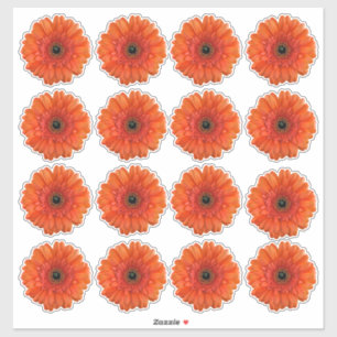 16 Orange Gerbera-Margeriten-Blumen-Kiss-Cut-Aufkl Aufkleber