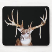 16 Punkt-Dollar Mousepad (Vorne)