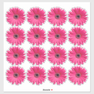16 rosa Gerbera-Margareten-Blumen-Kiss-Cut-Aufkleb Aufkleber