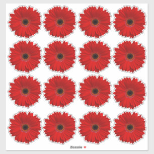 16 rote Gerbera-Daisy-Blumen-Kiss-Cut-Aufkleber Aufkleber