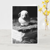 16. Schaf-Geburtstag Karte (Gelbe Blume)