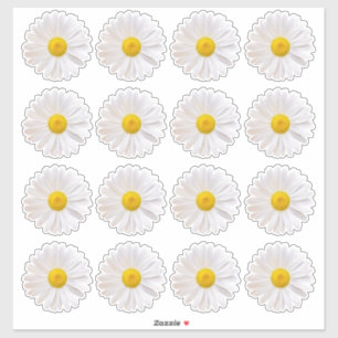 16 Shasta Daisy Blume Kiss-Cut Stickers Aufkleber