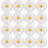 16 Shasta Daisy Blume Kiss-Cut Stickers Aufkleber (Vorderseite)
