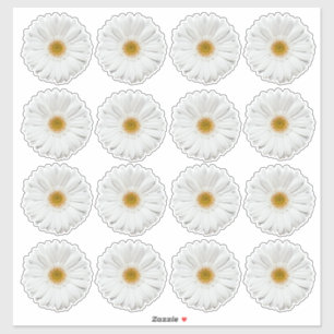 16 White Gerbera Daisy Blume Kiss-Cut Stickers Aufkleber