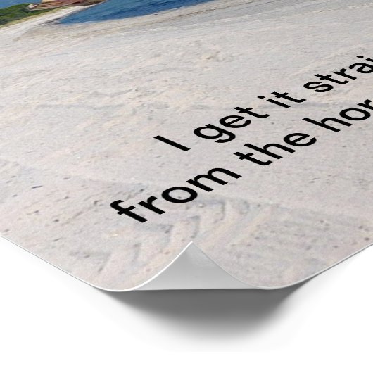 16"x12" direkt vom Pferd Poster (Ecke)