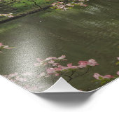 16"x12" Rosa Dogwood Fotodruck (Ecke)