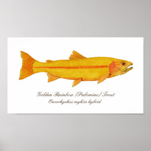 16" X12", Wert-Plakat-Papier (Matt) Poster