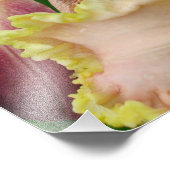 16"x16" Taglilien Fotodruck (Ecke)