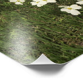 16"x20" Weißer Dogholzbaum Fotodruck (Ecke)