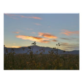 16 x 12 fotodruck (Vorne)