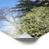 16" x 12" Salzsee LDS Tempel Fotodruck (Ecke)