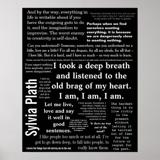 16" x 20", Value Poster Paper (Matte) (Vorne)