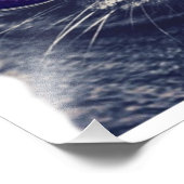 16 Zoll x 12 Zoll, Kodak Berufliches Foto Paper (S (Ecke)