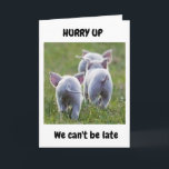 **16th BIRTHDAY** FROM RUNAWAY FUN LOVING PIGS Karte<br><div class="desc">ICH HABE DIESES FOTO GENUG GENUG GENOMMEN UND DIESE KARTE GEMACHT,  WEIL ICH "WISSEN",  DASS JEMAND "ES AUCH LIEBE" MACHEN WIRD,  UND ICH HOFFE,  DASS SIE GENUG SIND,  ES EINEM FREUND ODER FAMILIENMITGLIED ZU SENDEN ODER ZU GEBEN :)</div>