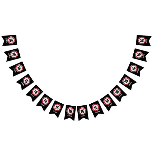 16th Birthday Speed Limit Wimpelkette (Alle)
