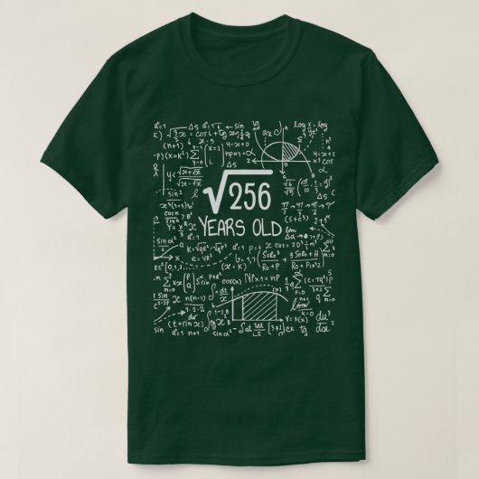 16th Birthday Square Root of 256 16 Years Old  T-Shirt (Design vorne)