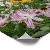 16x12 Farbige Frühlingsblumen in voller Blüte Poster (Ecke)