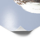 16x12 Kodak Berufliches Foto Paper (Satin) (Ecke)