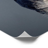 16x12 Peregrine Falcon entlang des Hudson River Poster (Ecke)