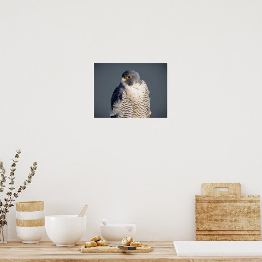 16x12 Peregrine Falcon entlang des Hudson River Poster (Küche)