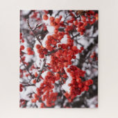 16x20, 520 Stück, Puzzle (Vertikal)