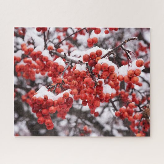 16x20, 520 Stück, Puzzle (Horizontal)