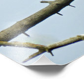 16x20 Adlersatin-Foto Fotodruck (Ecke)