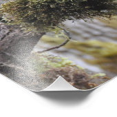 16X20 Barrierenschüssel im großen Ahornbaum aus Le Fotodruck (Ecke)