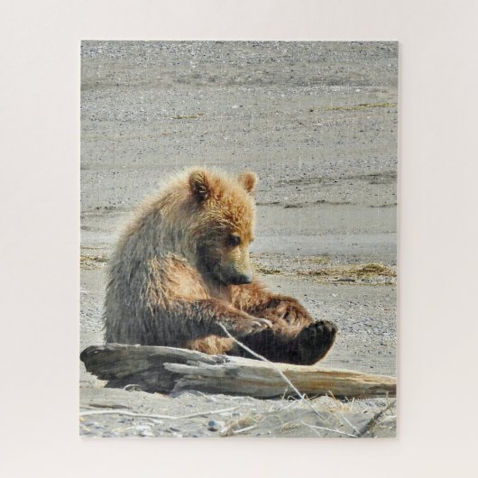 16x20 Grizzle Bärenkuppe Puzzle (Vertikal)