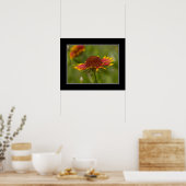 16x20 Indianerblanket-Wildblume Poster (Küche)