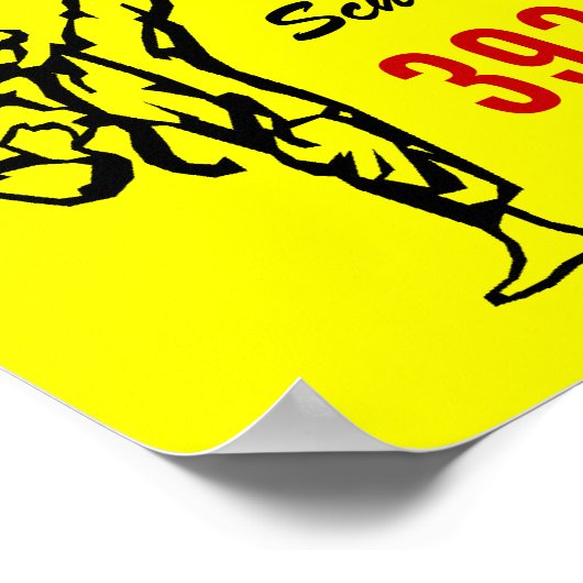 16x20 Karate-Poster Poster (Ecke)