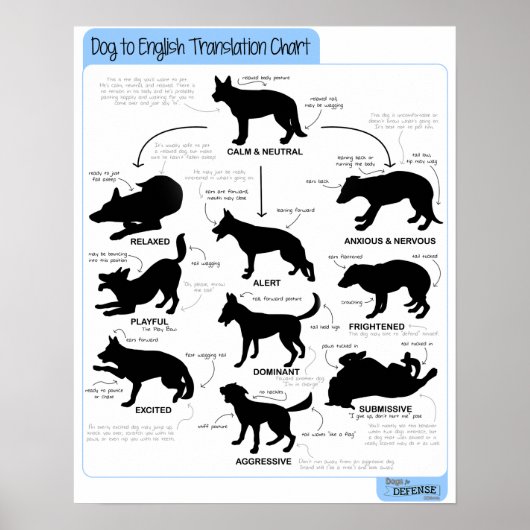 16x20 Körpersprache Poster (Vorne)