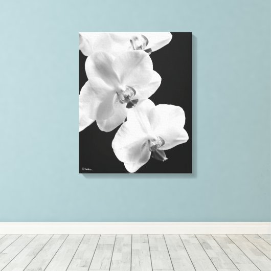 16X20 Orchideen in Schwarz-Weiß-Wrapped Canvas Art Leinwanddruck (Insitu (Holzboden))