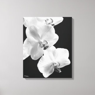 16X20 Orchideen in Schwarz-Weiß-Wrapped Canvas Art Leinwanddruck