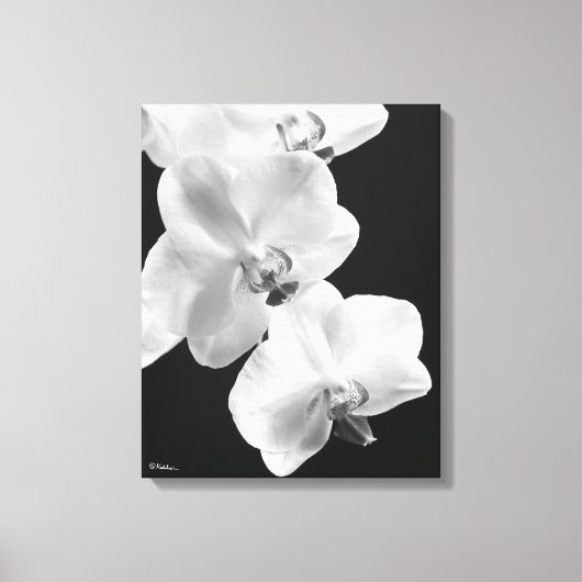 16X20 Orchideen in Schwarz-Weiß-Wrapped Canvas Art Leinwanddruck (Vorderseite)