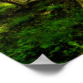 16x20 Plakat - Waldweg (Ecke)